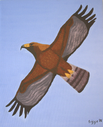 Aquila